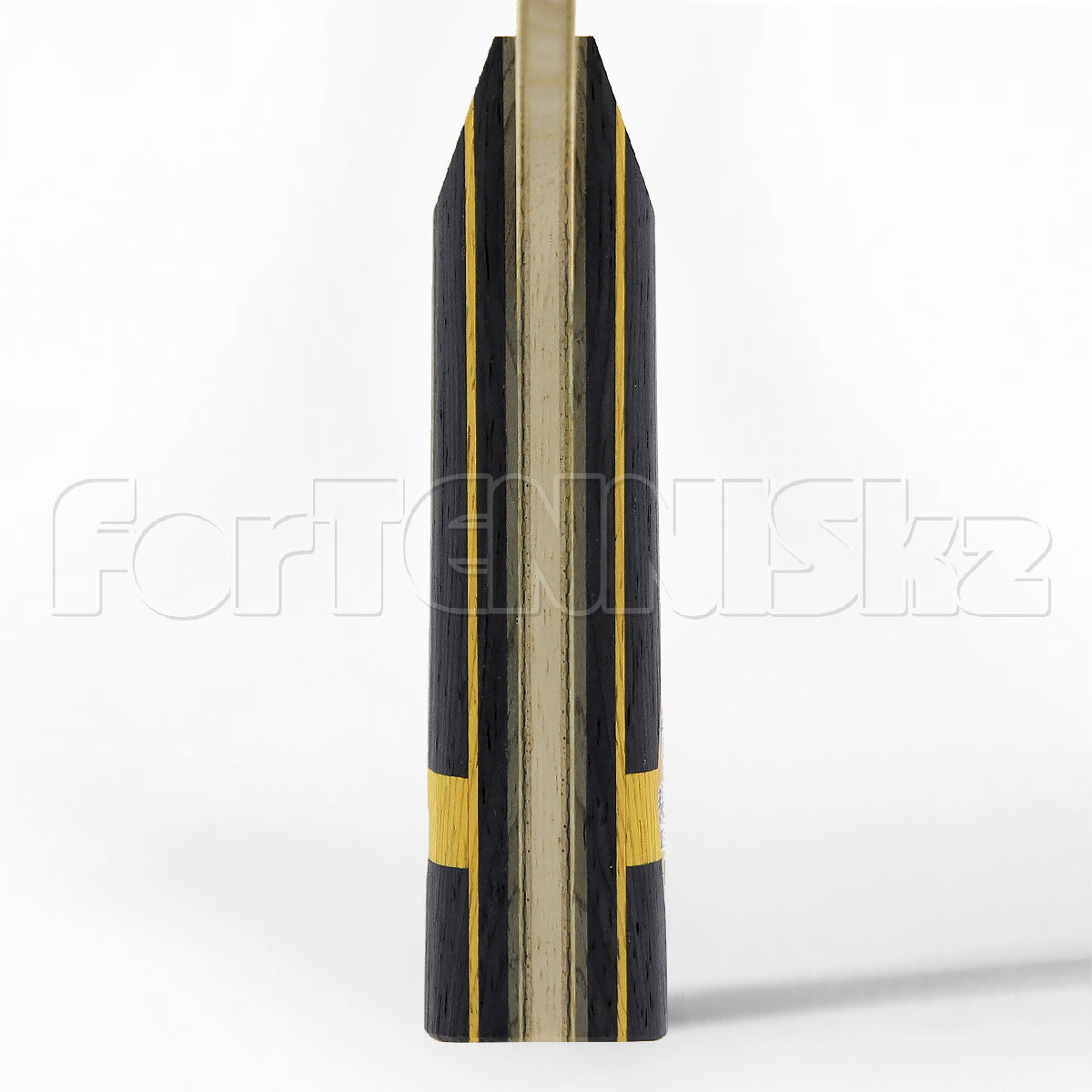 Butterfly Timo Boll ALC